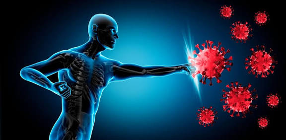 Everyday habits for a stronger immune system