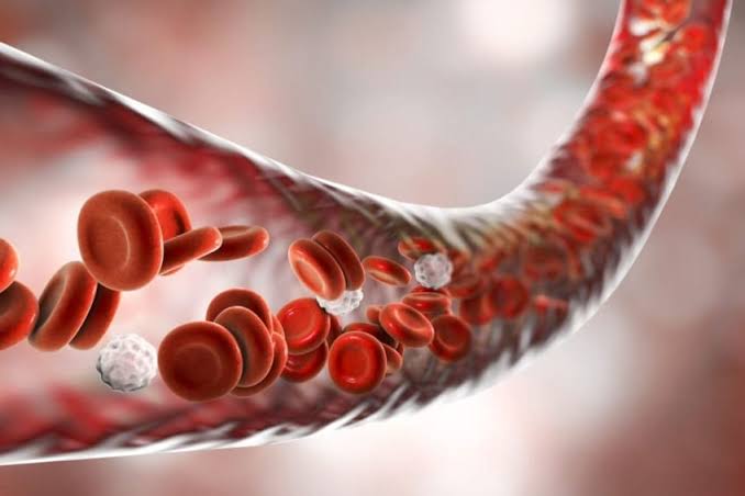Hydration and Blood Health: The Underrated Connection