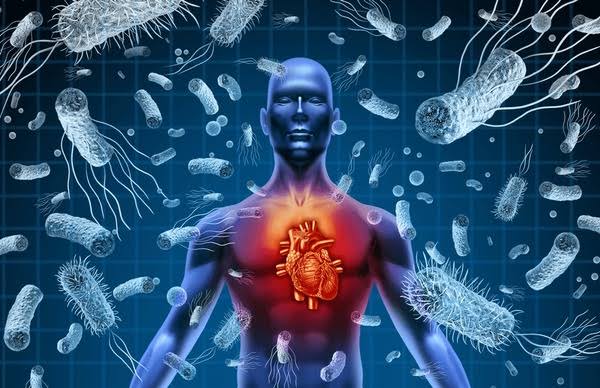 What Are Toxins? Understanding Their Impact on Your Body