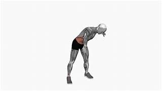 Ultimate Guide To Bodyweight Exercises For Your Home Workout.