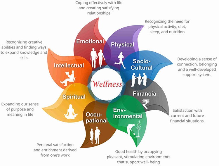 Well + Good – Trend-focused editorial on fitness, mental health, nutrition from a holistic wellness perspective.
