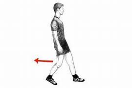 Why You Should Be Walking Backward (And How to Level It Up)